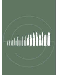 Carabines Gros Calibres | Shooting Club | Dreux 28100