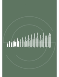Carabines Petits Calibres | Shooting Club | Dreux 28100