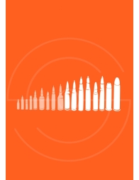 Carabines Gros Calibres | Shooting Club | Dreux 28100