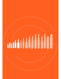 Carabines Petits Calibres | Shooting Club | Dreux 28100