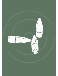 Calibre 223 Remington (5.56x45mm) | Shooting Club | Dreux 28100