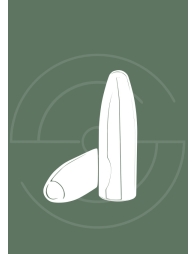 Calibre 308 Wihester (7.62x51mm) | Shooting Club | Dreux 28100