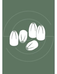 Calibre 357 Magnum | Shooting Club | Dreux 28100