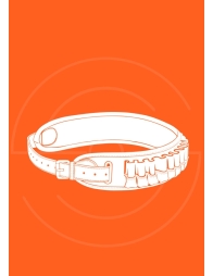 CARTOUCHIERES | Shooting Club | Dreux 28100