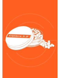 Calibre .22 (5,5 mm) | Shooting Club | Dreux 28100