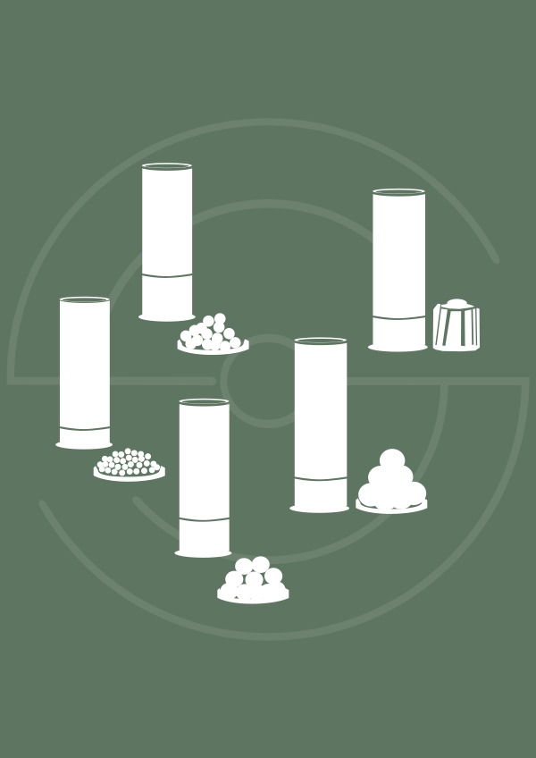 Fusils Rayés et Lisses