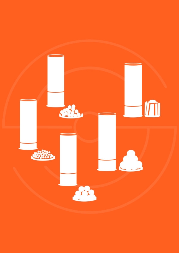 Fusils Rayés et Lisses