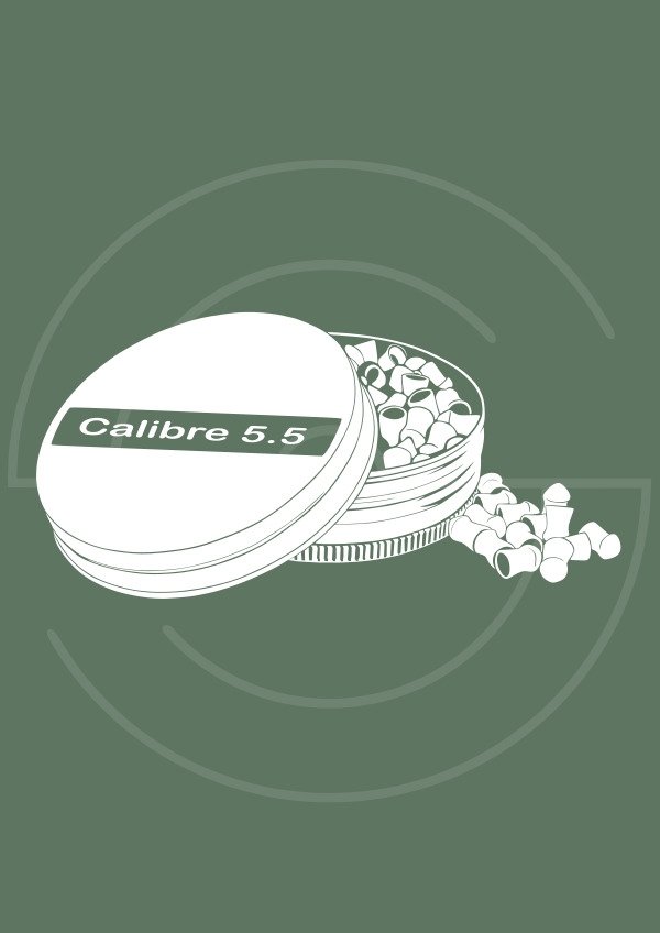 Calibre .22 (5,5 mm)