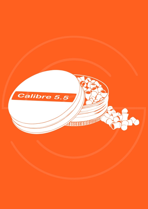 Calibre .22 (5,5 mm)